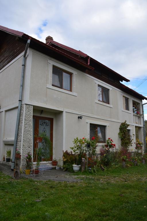 Pensiunea Margareta Sita Buzăului Extérieur photo