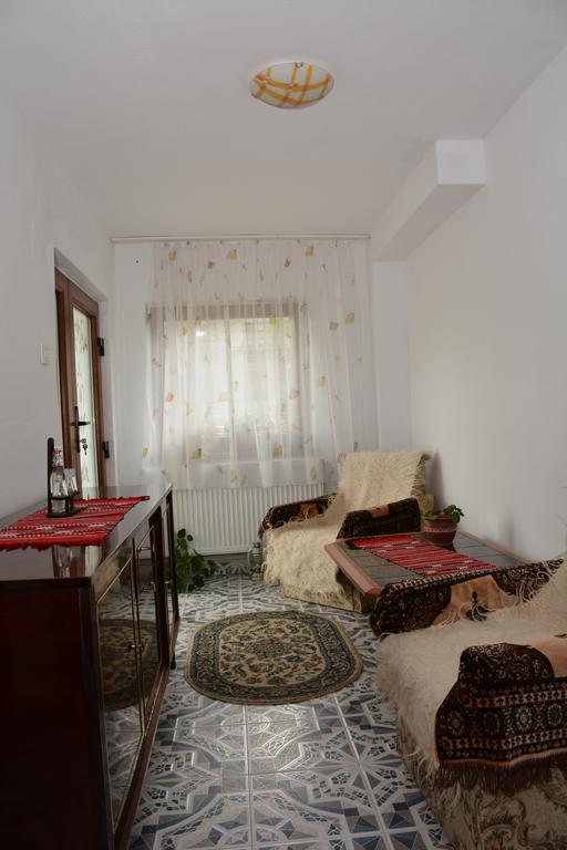 Pensiunea Margareta Sita Buzăului Extérieur photo